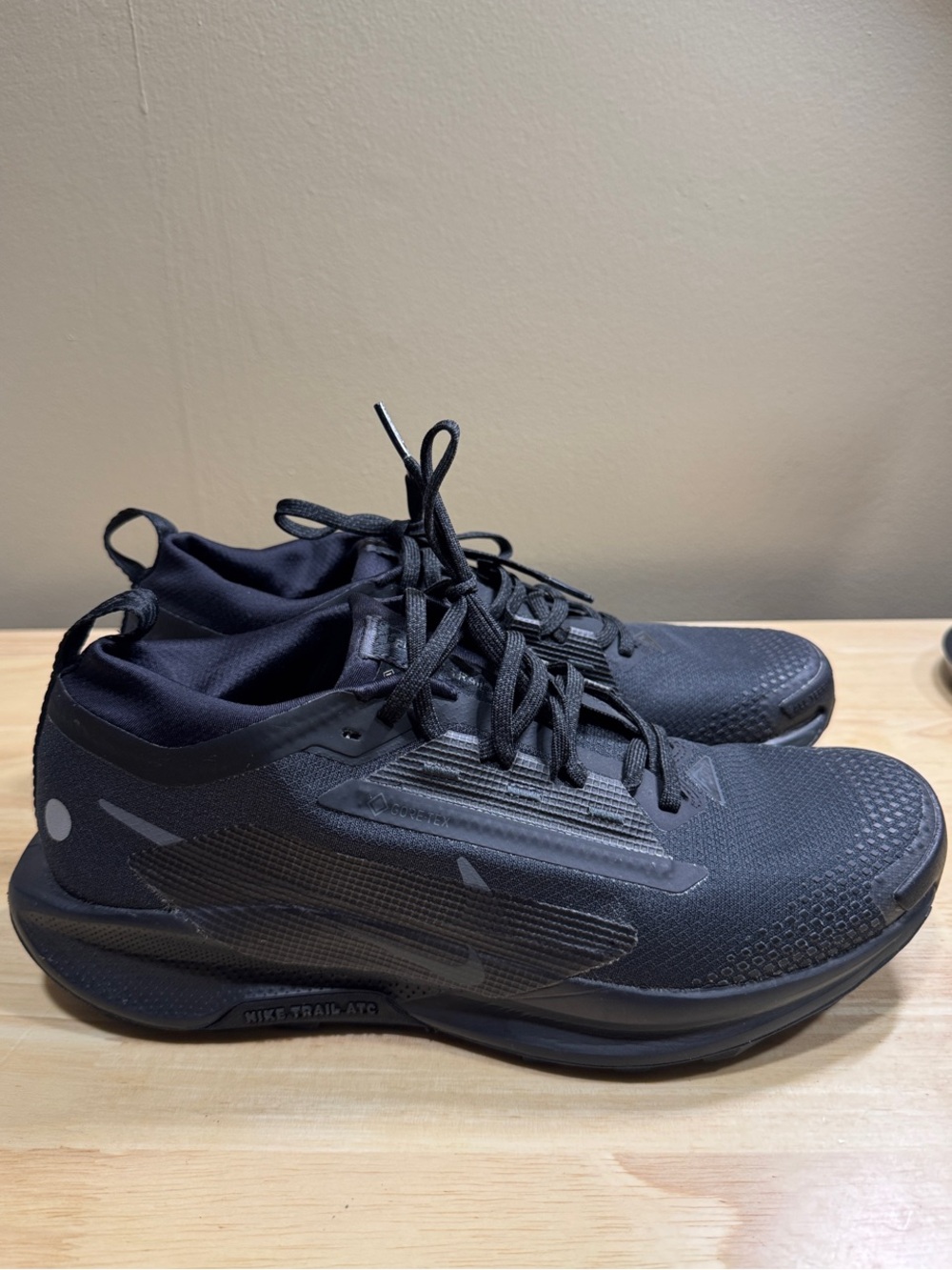 Nike Pegasus Trail 5 GORE-TEX